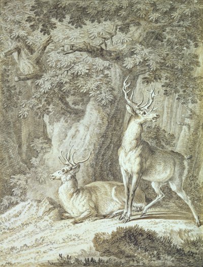 Twee herten door Johann Elias Ridinger or Riedinger